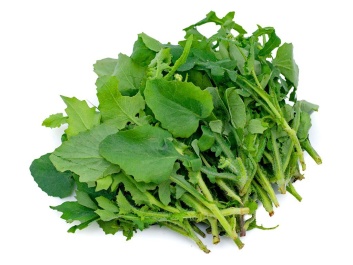 Công dụng trị bệnh và những lưu ý khi sử dụng cây cải trời